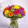 Vibrant Celebration is a joyful burst of bold color designed to brighten
