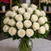A timeless luxury arrangement composed of premium ivory white roses accented with