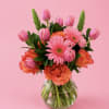 Let our Designers select the most beautiful flowers for you, full of