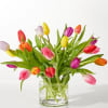 The freshest Multi colored tulips. In a designer vase. Tulip colors may
