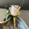 Single pale pink rose with small white accent flowers