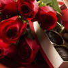 Beautifully Wrapped Roses &amp; Yummy Chocolate for Your Sweetheart