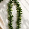 Make their celebration more memorable with a tea leaf lei for their