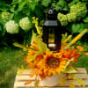 Sunflower arrangement in a white pot with a black lantern