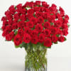  Pet Friendly?
YES While roses themselves are non-toxic to household pets, the
