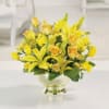  Pet Friendly?
NO &mdash; contains lilies, which are toxic to cats. Keep