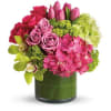  Pet Friendly?
NO . This design contains tulips, which are toxic to