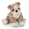 Small tan and white bulldog stuffed animal sitting with legs splayed forward