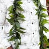 A lush, layered leaf lei that feels both ceremonial and celebratory-perfect as