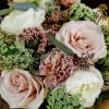 Close-up bouquet of blush roses, white blooms, and pink carnations