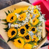 Bouquet of sunflowers with baby’s breath and chocolate candies wrapped in brown paper