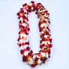 Burgundy &amp; White Double Orchid Lei
