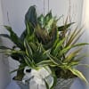 Mixed green plant arrangement in a textured rectangular planter with a white ribbon