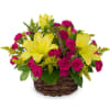 Perfect for a pick-me-up or welcome to the neighborhood, the blooms are