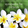 White and yellow plumeria flowers with 