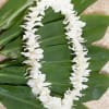 Single White Lei
Our leis are available for pre-order, as each one is