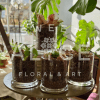 A fun, quirky twist on plant giving.  These little beauties are