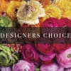 Assorted colorful flowers with a 