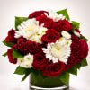 A bold and luxurious arrangement featuring premium red roses, sculptural crimson celosia