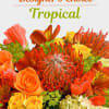 Transport yourself to a tropical paradise with our Designer's Choice Tropical Arrangement.