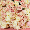 Gorgeous hand tied bouquet of pink and white roses. No vase***