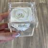 White rose in a clear acrylic box