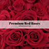 The Freedom/Heart Roses have large, cup-shaped blooms with a velvety texture. The