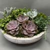 Succulent arrangement in a shallow white bowl with pink rosettes
