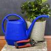 Potted green plant with a blue watering can and pruning shears
