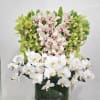 A stunning composition of white and green cymbidium orchids and white phalaenopsis