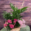 Assorted green plants with a colorful blooming plant arranged in a wicker
