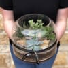 Add a touch of nature to any space with our Rough Hollow