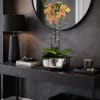 A luxury Triple Peach Phalaenopsis orchid designed for gifting. We offer flower