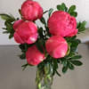 Pink peonies arranged in a clear glass vase