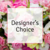 Pink and white roses with small white blossoms behind a 