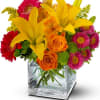 A breezy collection of yellow, orange and hot pink, vibrant colors that