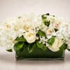 A luxurious all-white floral arrangement featuring lush hydrangeas, elegant white roses, delicate