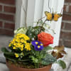 A beautiful plant design with an interesting variety of plants, textural elements