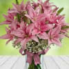 Vase a beautiful Pink lilies. Classis and Elegant 