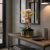 A luxury Triple Peach Phalaenopsis orchid designed for gifting. We offer flower