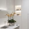 A luxury Four Peach Phalaenopsis orchid designed for gifting. We offer flower