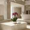 A luxury Five Purple Phalaenopsis orchid designed for gifting. We offer flower