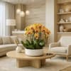 A luxury Five Peach Phalaenopsis orchid designed for gifting. We offer flower