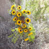 Tall sunflower arrangement with mixed greenery and red berry accents