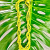 Yellow lei on a large green tropical leaf