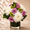 A soft and elegant floral arrangement featuring lavender roses, lush white spider