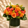 A radiant and cheerful floral arrangement featuring glowing orange roses, vibrant coral