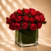 Dramatic, luxurious, and deeply romantic, Crimson Velvet Romance showcases an abundant collection