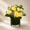 Classic, graceful, and effortlessly luxurious, Ivory Elegance Garden features creamy ivory roses