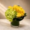 Radiant, fresh, and luxuriously modern, Golden Citrine Bloom is a vibrant floral